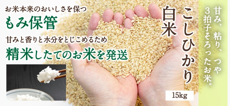 【令和7年産 新米】特別栽培米コシヒカリ15kg【令和7年10月以降発送】