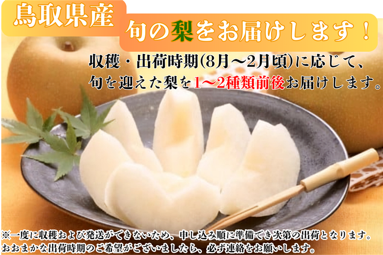 【訳あり】鳥取県産旬の梨 3kg