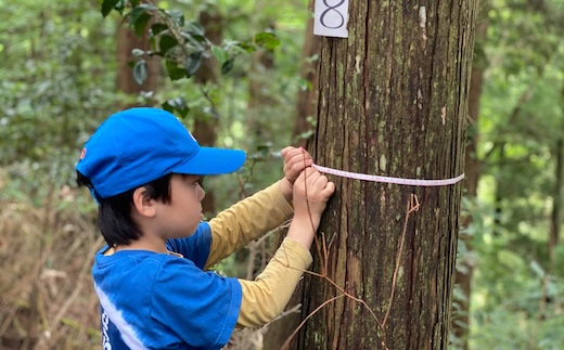 [きらめ樹] 皮むき間伐体験(お一人分)