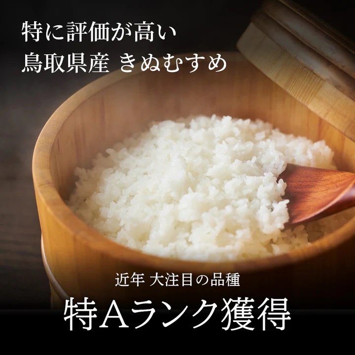 鳥取県産  きぬむすめ 令和7年産 精米済 20kg（5kg×4袋）