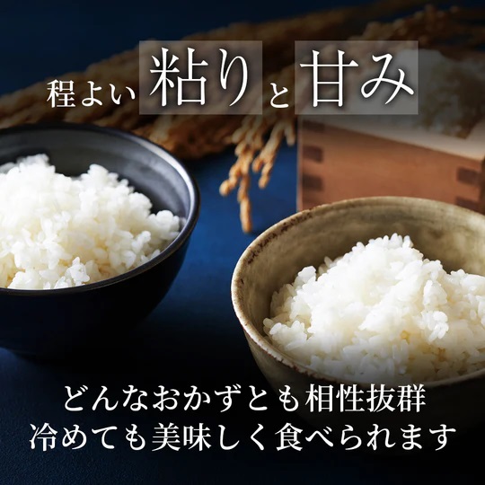 鳥取県産  ひとめぼれ 令和7年産 精米済 10kg（5kg×2袋）