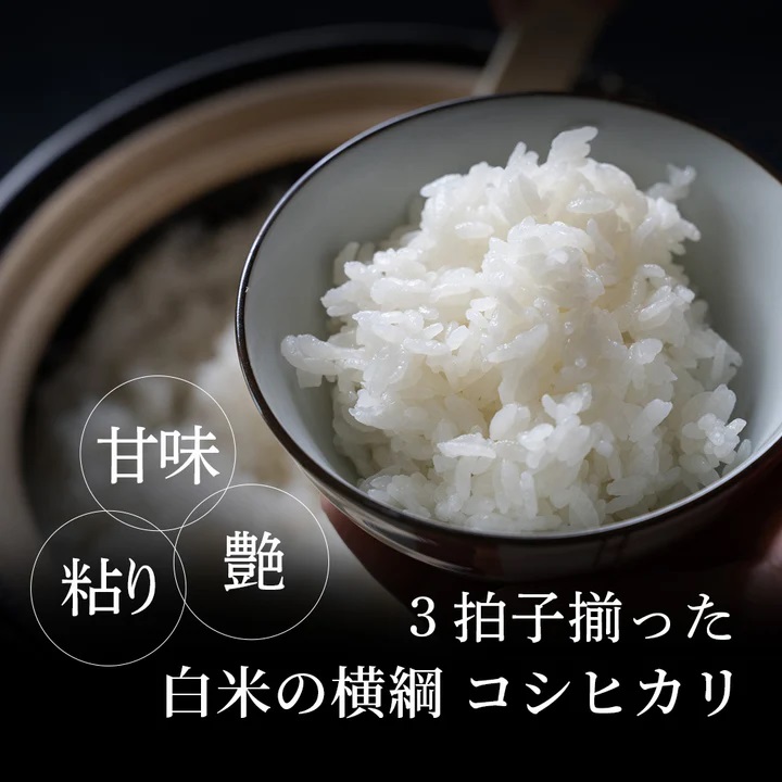 因幡の白兎米 コシヒカリ 令和7年産 精米済 20kg（5kg×4袋）
