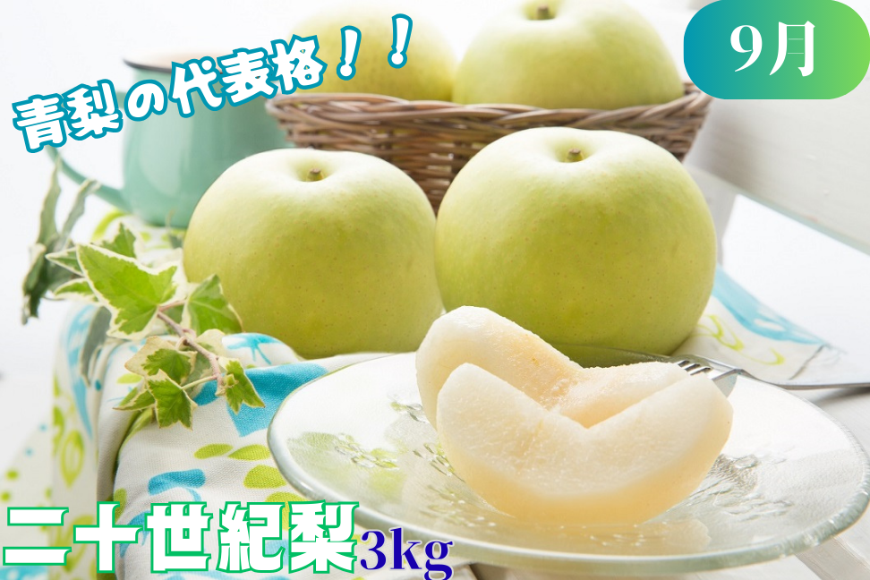 八頭の梨スペシャルコース