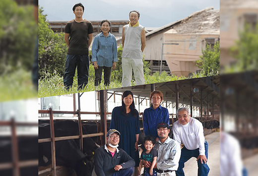 【和牛セレブ】鳥取和牛 定期便 ゴールドクラス