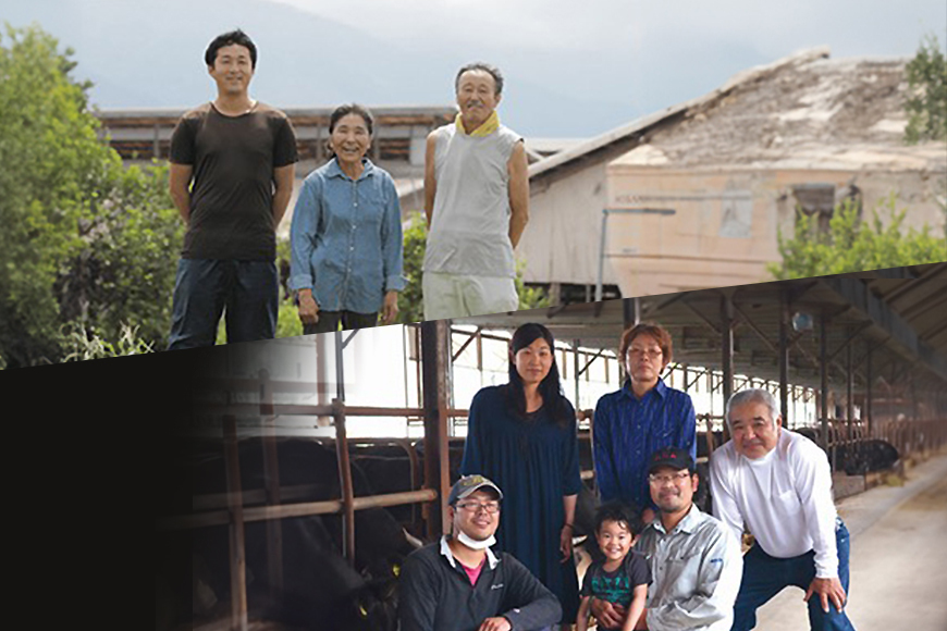 【和牛セレブ】鳥取和牛 焼肉用希少部位5種食べ比べセット  500g(八角箱入り)