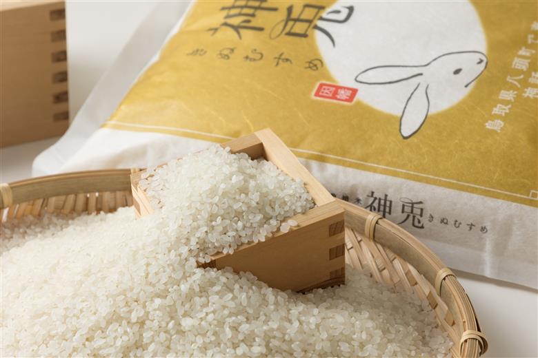 特別栽培米コシヒカリ20kg