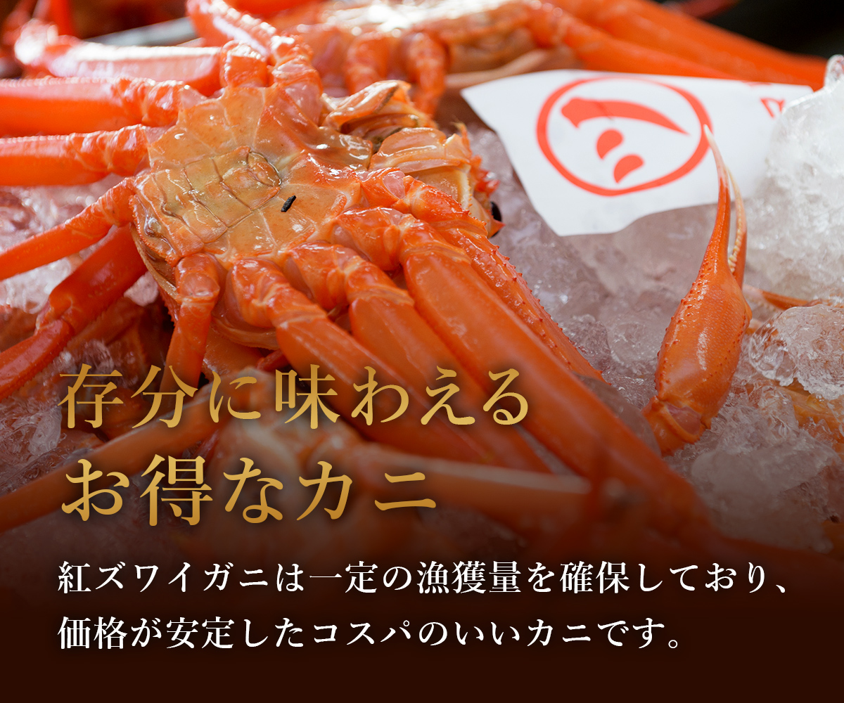 【蟹セレブ】紅ズワイガニ　中1杯（400～500g×1）