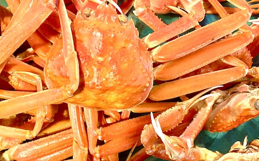 【ボイル】松葉ガニ 700g タグ付