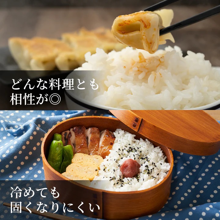 因幡の白兎米 きぬむすめ 令和7年産 精米済 10kg（5kg×2袋）