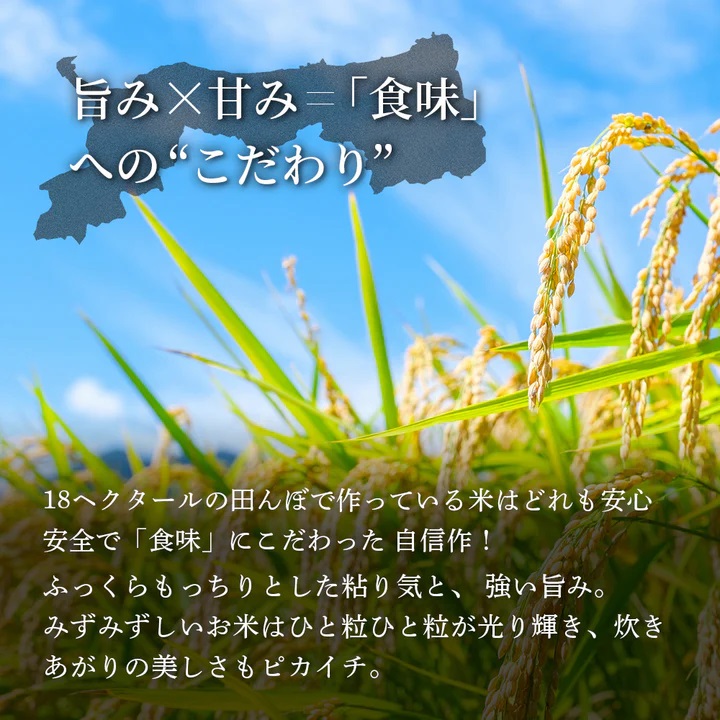 鳥取県産  きぬむすめ 令和7年産 精米済 20kg（5kg×4袋）