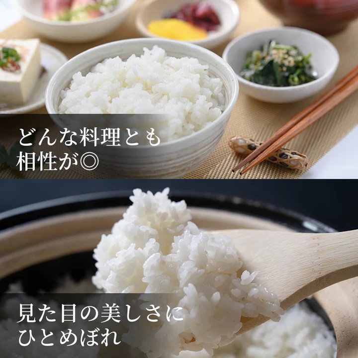 因幡の白兎米 ひとめぼれ 令和7年産 精米済 20kg（5kg×4袋）