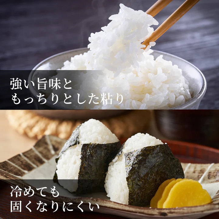 因幡の白兎米 コシヒカリ 令和7年産 精米済 20kg（5kg×4袋）