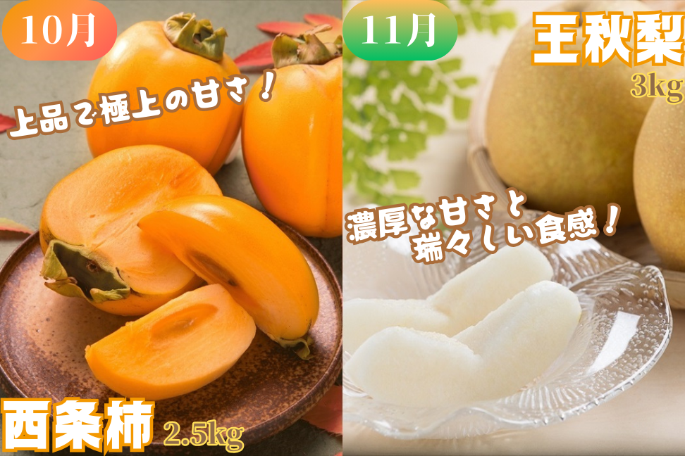 八頭のフルーツプレミアムコース