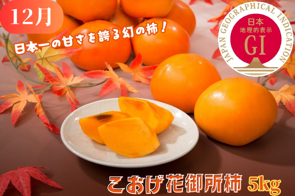 八頭の柿スペシャルコース