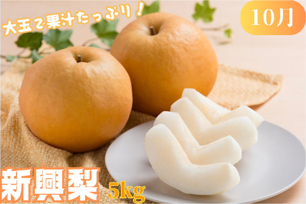 八頭の梨スペシャルコース