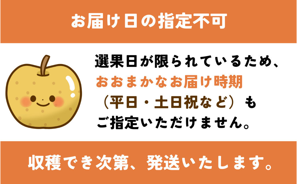 二十世紀梨(赤秀) 5kg