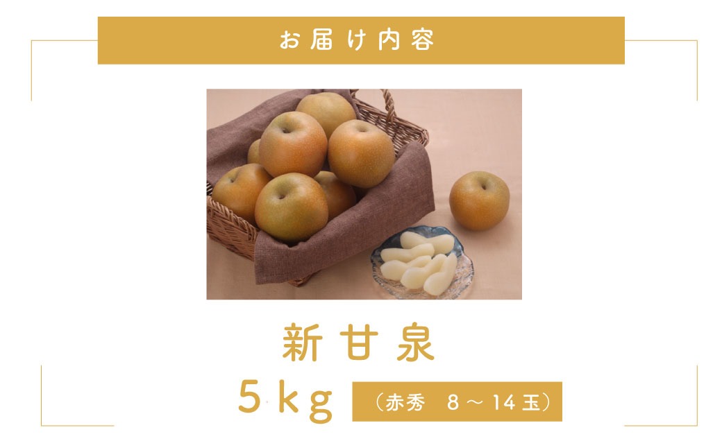 新甘泉(赤秀) 5kg