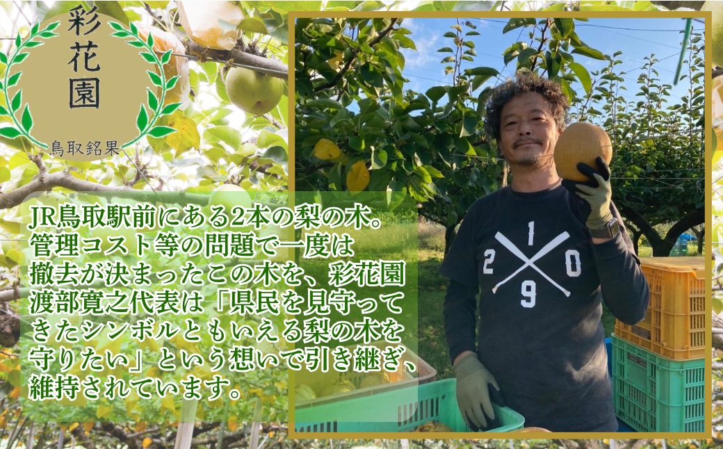 『特級 新甘泉』　梨シロップ　370m 2本セット