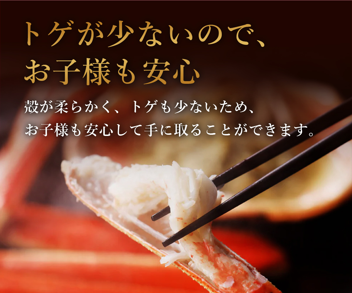 【蟹セレブ】紅ズワイガニ　1kg箱詰め（2～3杯）