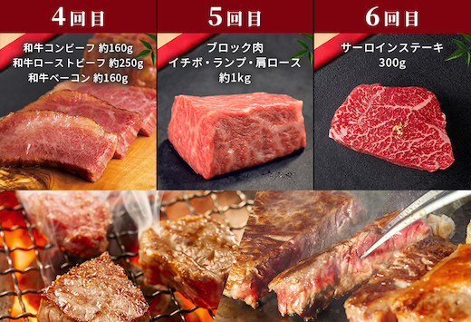 【和牛セレブ】鳥取和牛 定期便 シルバークラス