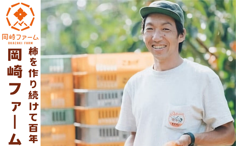 輝太郎柿 3kg(贈答用)