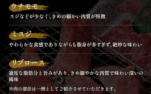 【和牛セレブ】鳥取和牛 焼肉用希少部位5種食べ比べセット  500g(八角箱入り)