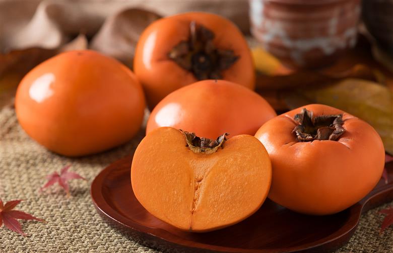 【2025年発送分】八頭町が誇る日本随一の甘柿『花御所柿』 3kg