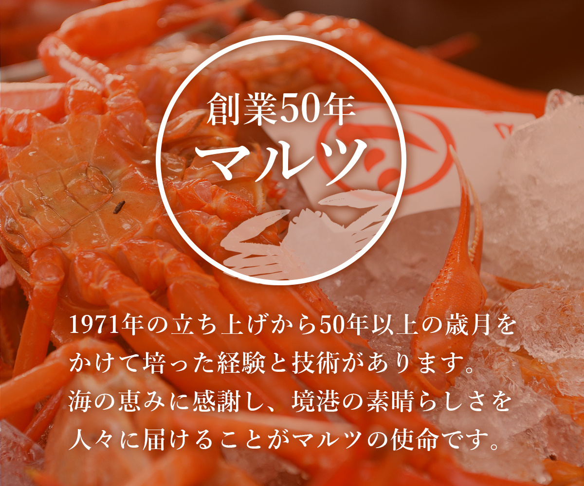 【蟹セレブ】紅ズワイガニ　中1杯（400～500g×1）