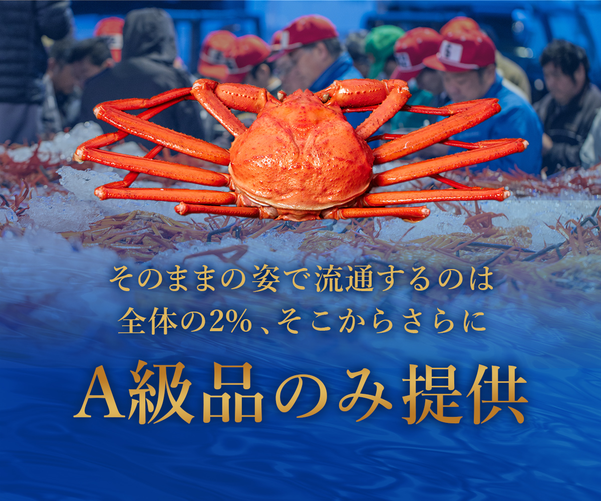 【蟹セレブ】紅ズワイガニ　中3杯セット（400～500g×3）