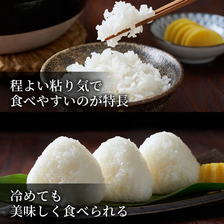 鳥取県産  ひとめぼれ 令和7年産 精米済 10kg（5kg×2袋）