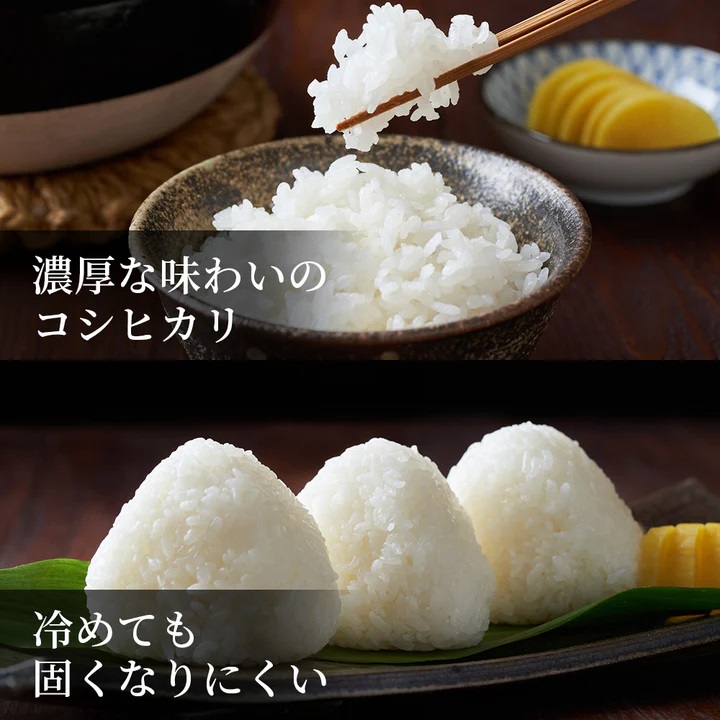 鳥取県産  コシヒカリ 令和7年産 精米済 20kg（5kg×4袋）