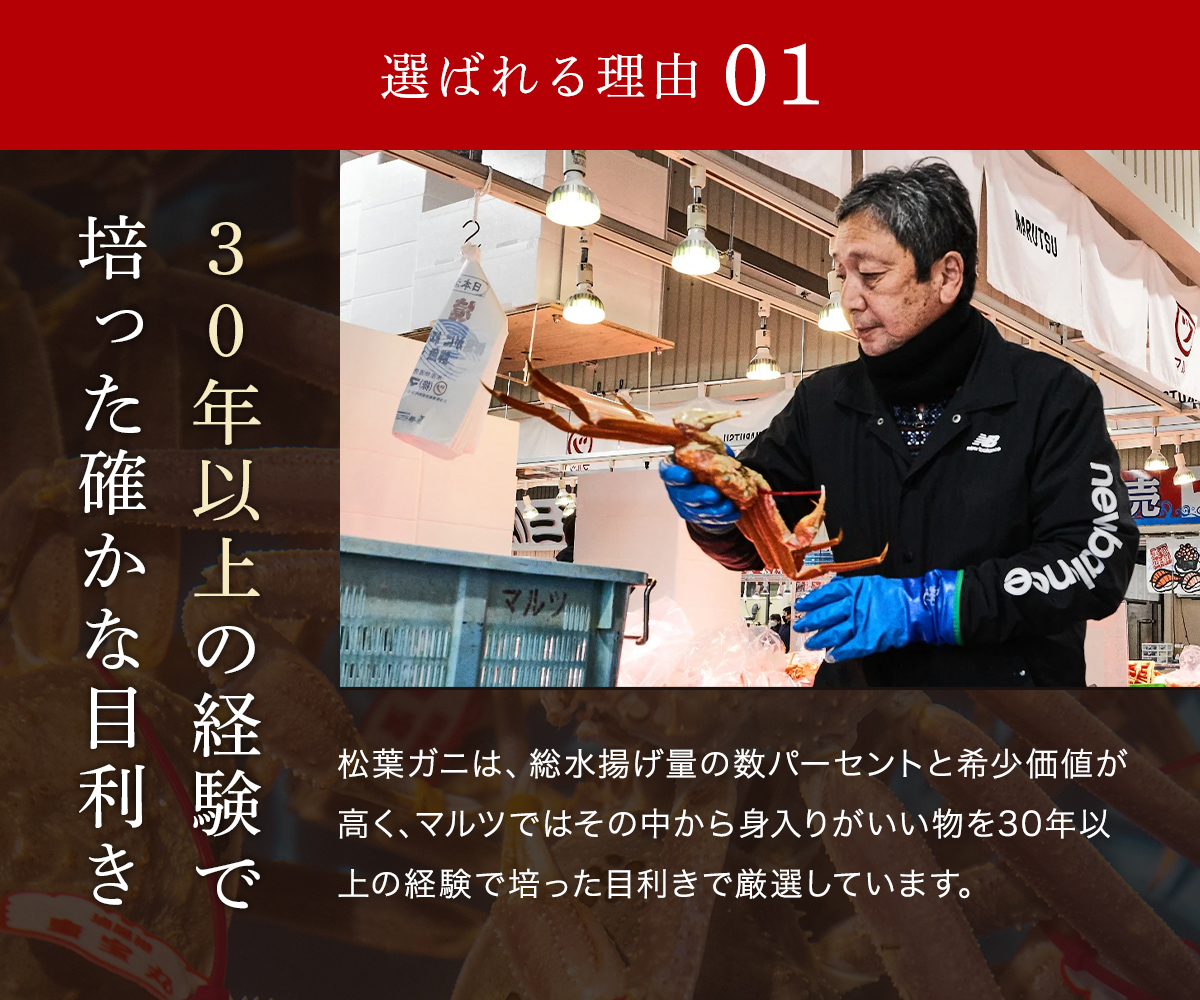 【蟹セレブ】タグ付き活〆ボイル・松葉がに（中・700ｇ前後）