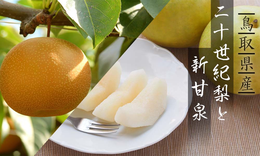 二十世紀梨と新甘泉のセット 3kg