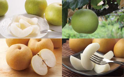 二十世紀梨と旬の赤梨セット 5kg