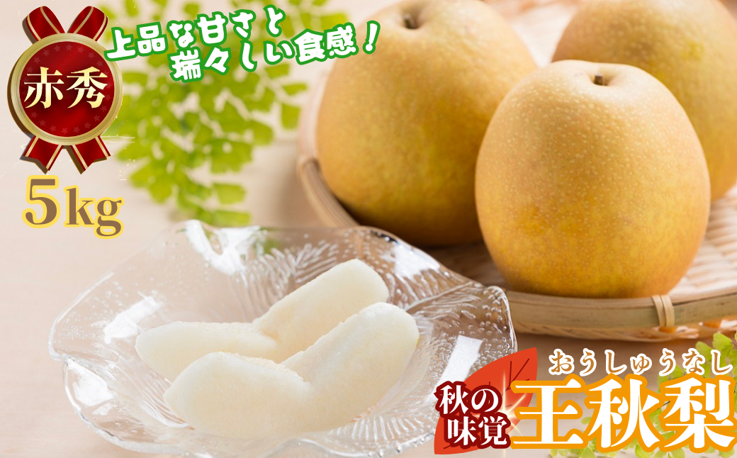 王秋梨(赤秀) 5kg