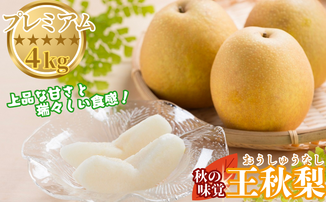プレミアム王秋梨 4kg