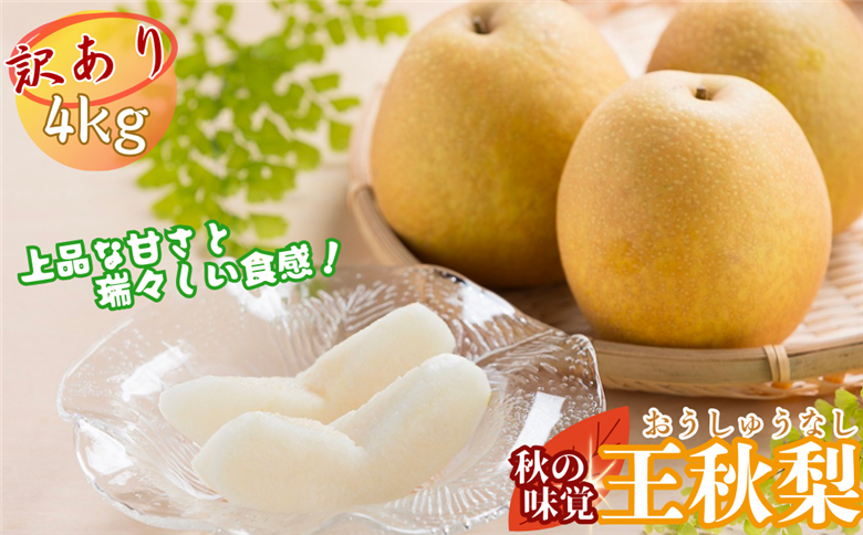 【訳あり】王秋梨 4kg