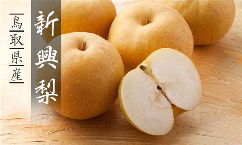 新興梨(秀) 5kg