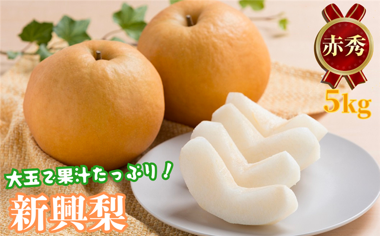 新興梨(赤秀) 5kg