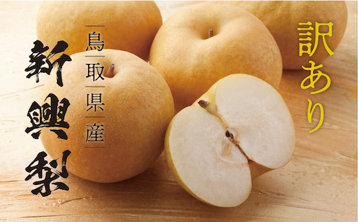 【訳あり】新興梨 4kg
