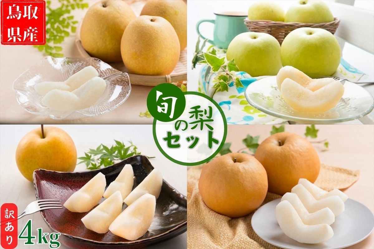 【訳あり】鳥取県産旬の梨セット 4kg