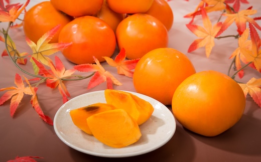 こおげ花御所柿 2kg