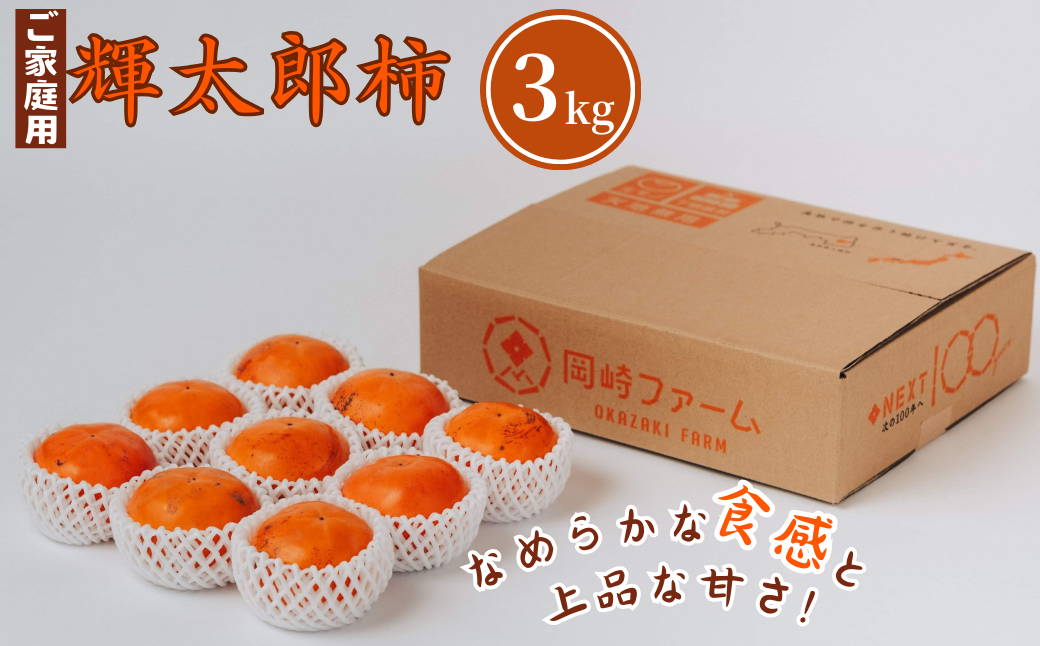 輝太郎柿 3kg(ご家庭用)