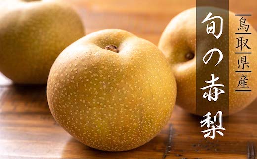 旬の赤梨セット 4kg