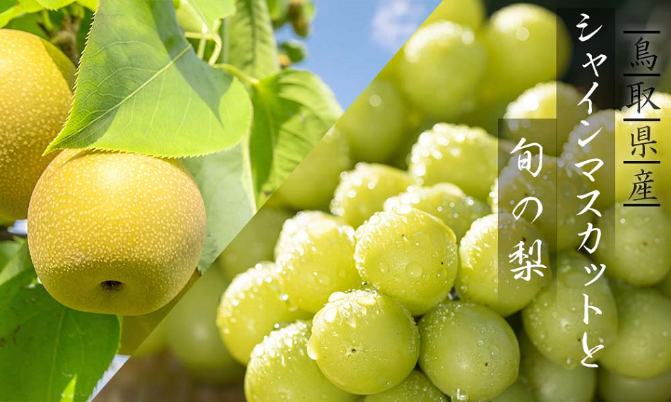 【訳あり】シャインマスカットと旬の梨セット