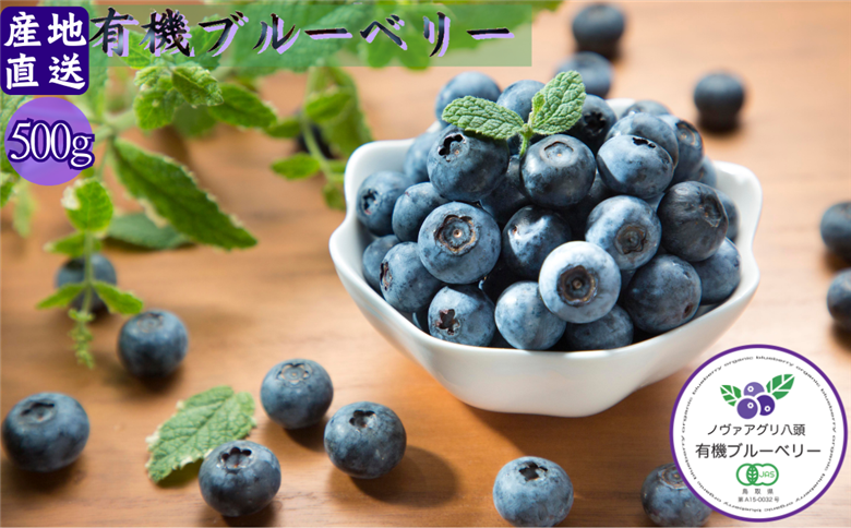 完熟有機ブルーベリー500g【有機JAS認定】