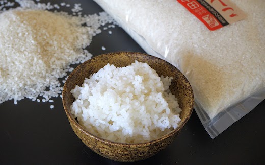 【令和7年産 新米】特別栽培米コシヒカリ10kg【令和7年10月以降発送】