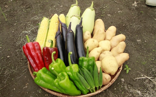 野菜セット〈夏〉