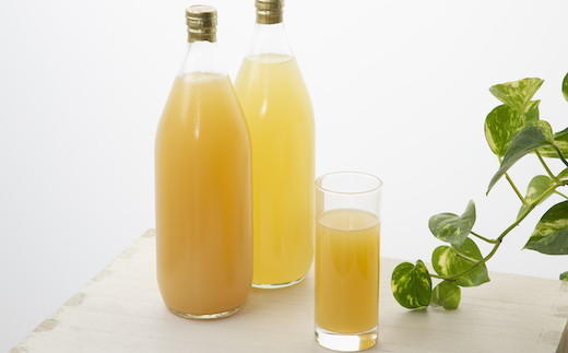 鳥取県産梨 新甘泉ジュース2本セット