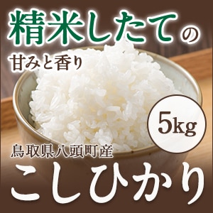 【令和7年産 新米】特別栽培米コシヒカリ5kg【令和7年10月以降発送】